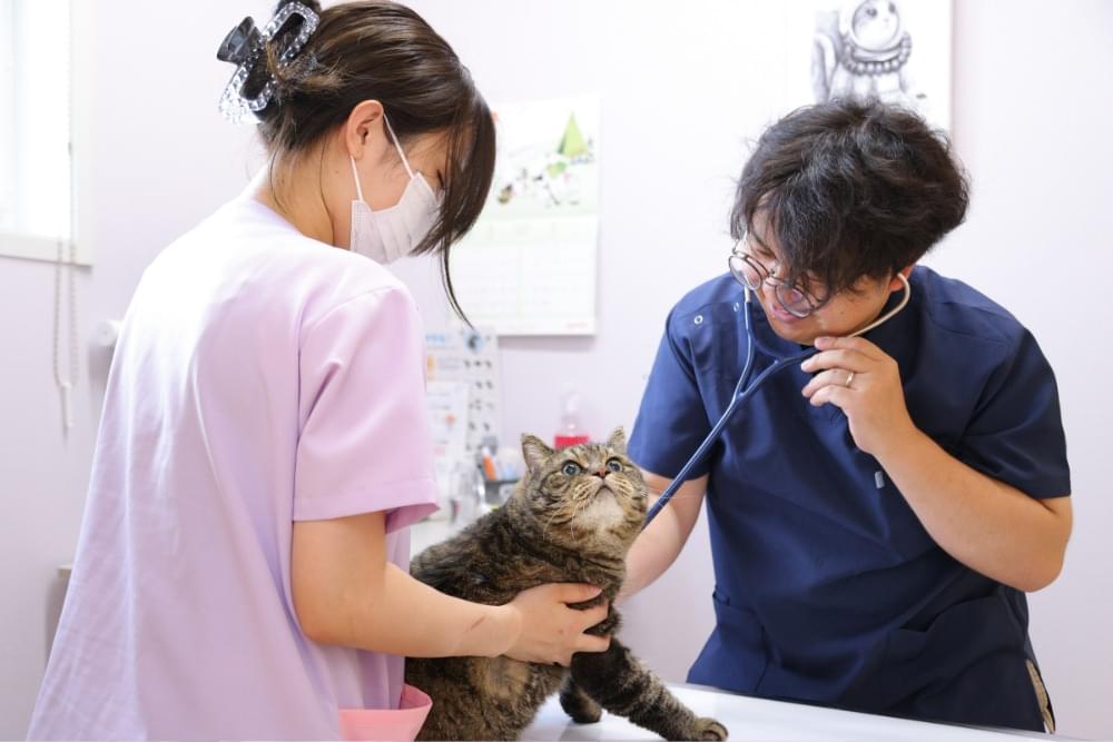 健康診断